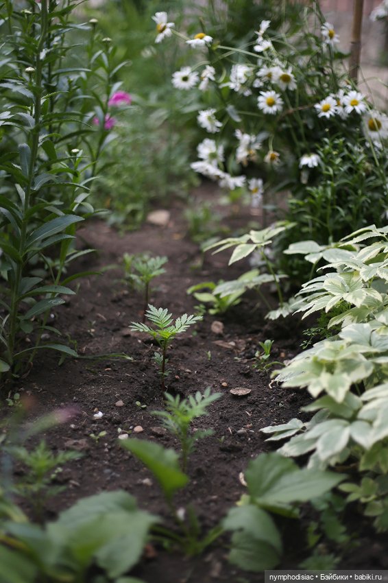 Садово-огородные дела Одри (Smart Doll Julia) (фото 2)