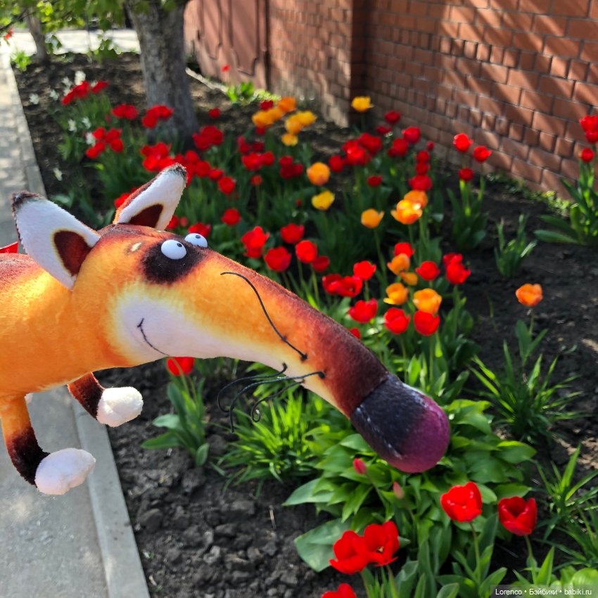 Тюльпаны расцвели — Болталка и разговоры обо всем: жизнь