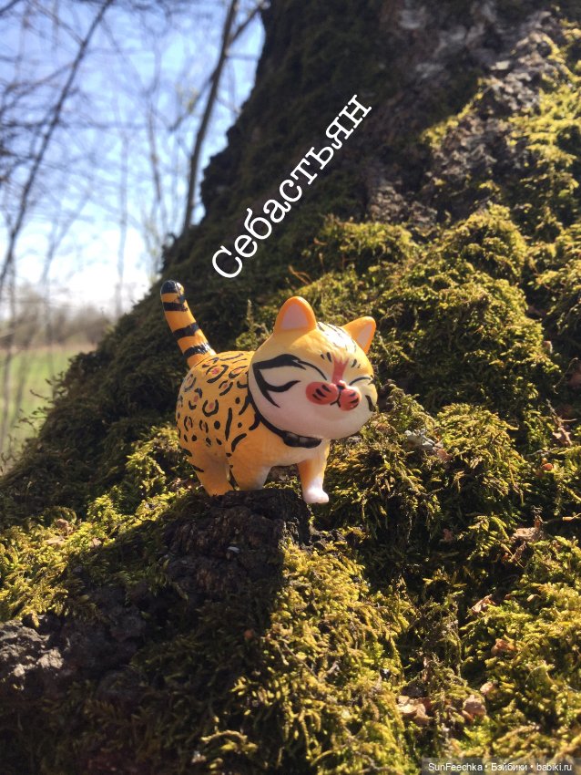 Кошачьи монпансье — Куклы с Алиэкспресс (Aliexpress): Китайские шарнирные