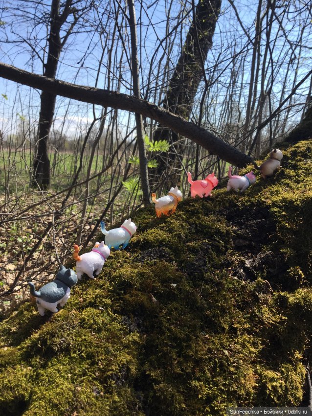 Кошачьи монпансье — Куклы с Алиэкспресс (Aliexpress): Китайские шарнирные