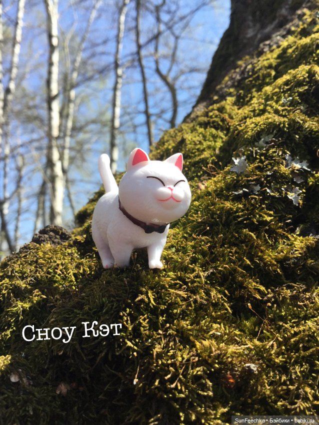 Кошачьи монпансье — Куклы с Алиэкспресс (Aliexpress): Китайские шарнирные