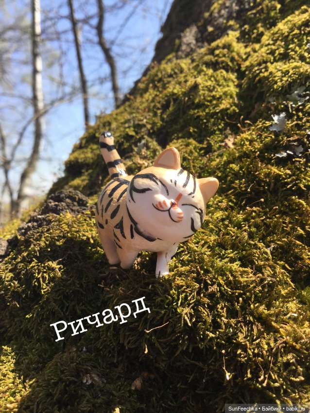 Кошачьи монпансье — Куклы с Алиэкспресс (Aliexpress): Китайские шарнирные