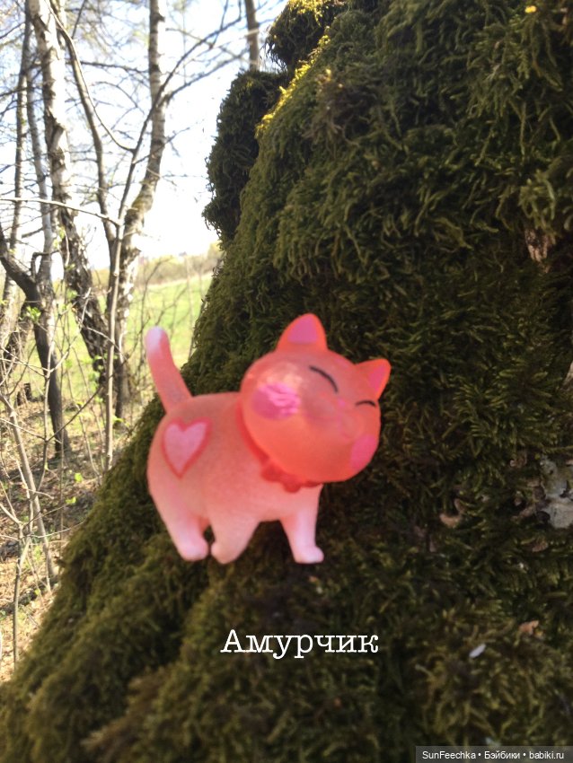 Кошачьи монпансье — Куклы с Алиэкспресс (Aliexpress): Китайские шарнирные