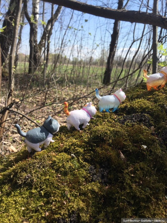 Кошачьи монпансье — Куклы с Алиэкспресс (Aliexpress): Китайские шарнирные