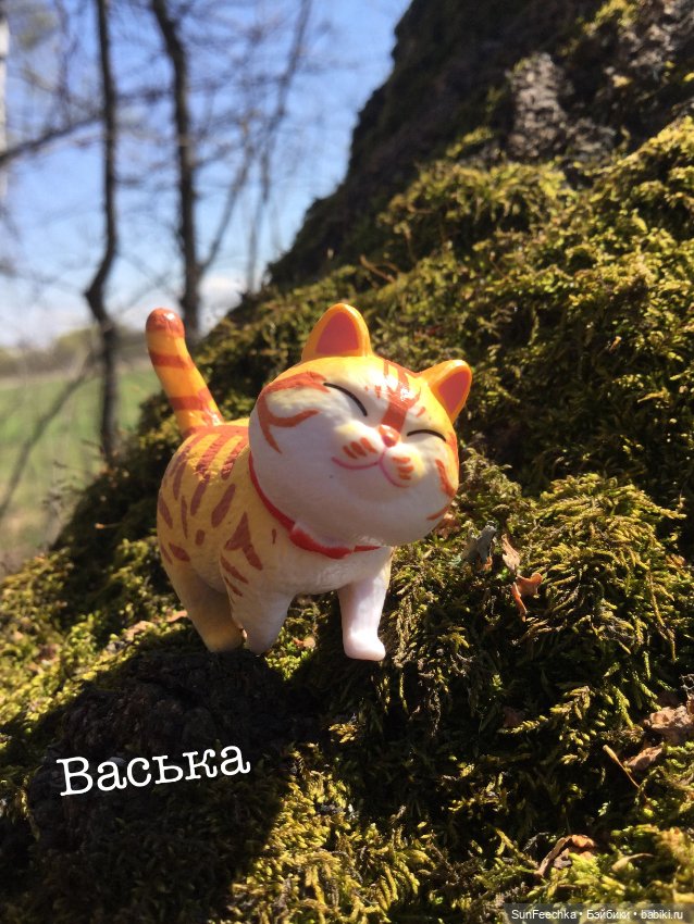 Кошачьи монпансье — Куклы с Алиэкспресс (Aliexpress): Китайские шарнирные