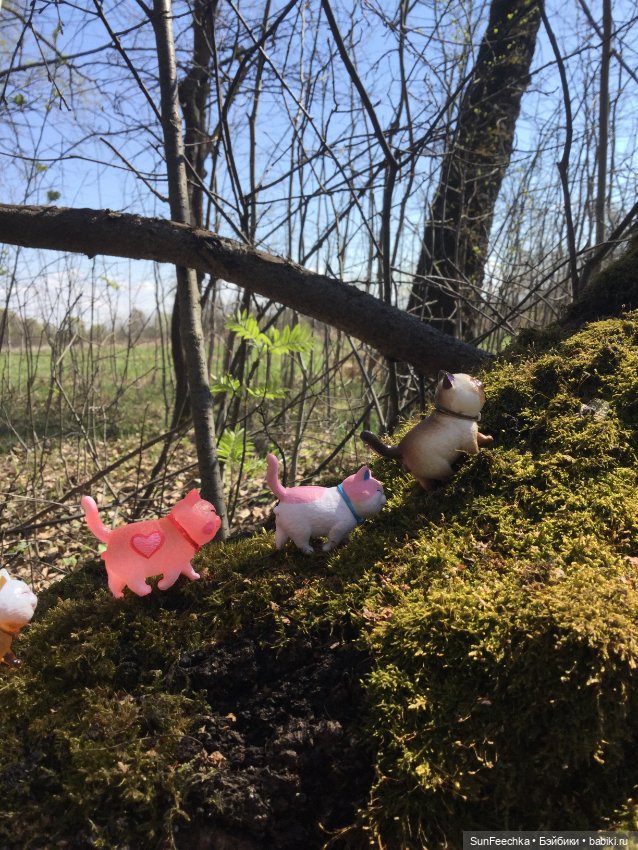 Кошачьи монпансье — Куклы с Алиэкспресс (Aliexpress): Китайские шарнирные