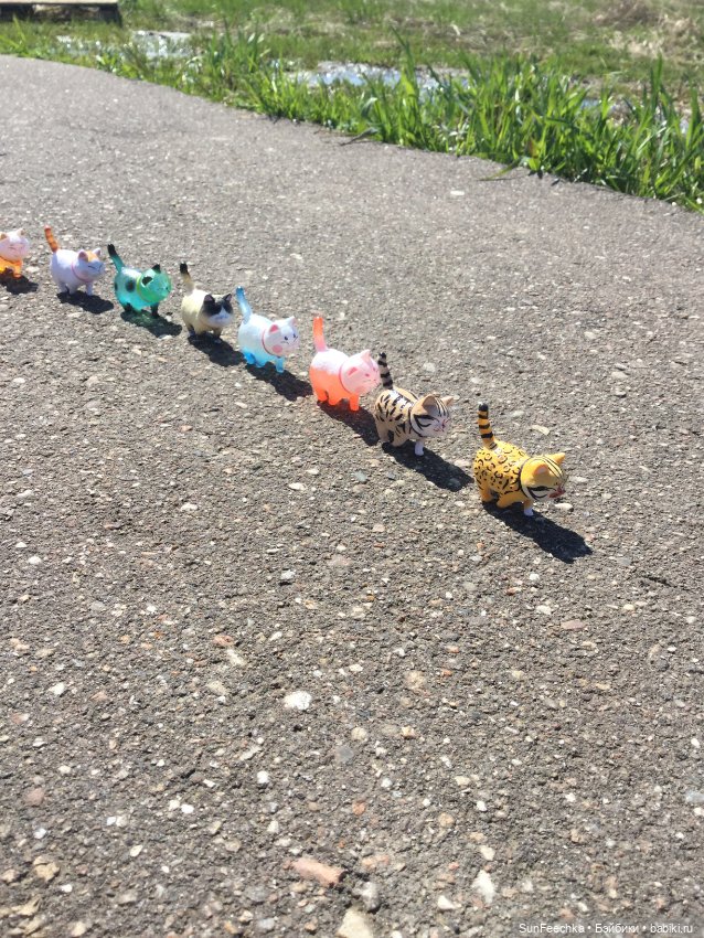 Кошачьи монпансье — Куклы с Алиэкспресс (Aliexpress): Китайские шарнирные (фото 6)