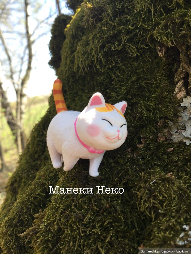 Кошачьи монпансье — Куклы с Алиэкспресс (Aliexpress): Китайские шарнирные