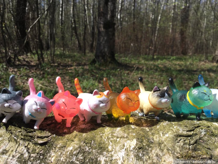 Кошачьи монпансье — Куклы с Алиэкспресс (Aliexpress): Китайские шарнирные