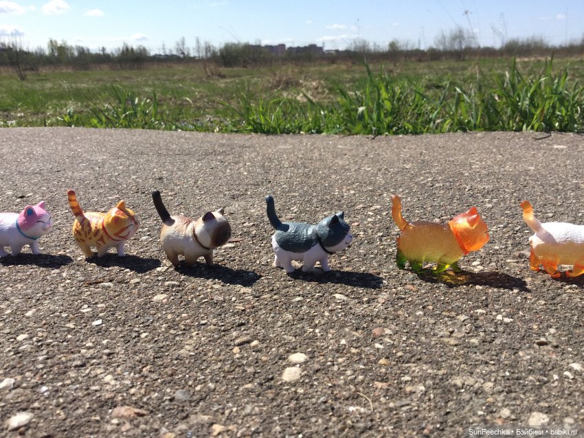 Кошачьи монпансье — Куклы с Алиэкспресс (Aliexpress): Китайские шарнирные (фото 9)