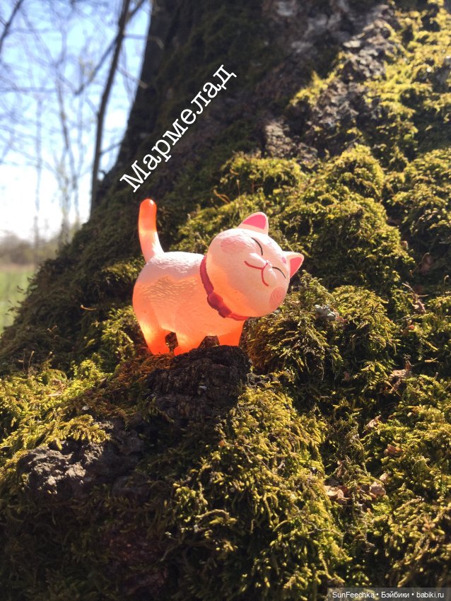 Кошачьи монпансье — Куклы с Алиэкспресс (Aliexpress): Китайские шарнирные