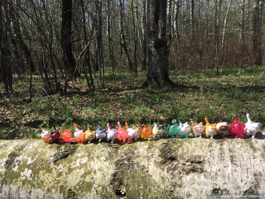 Кошачьи монпансье — Куклы с Алиэкспресс (Aliexpress): Китайские шарнирные