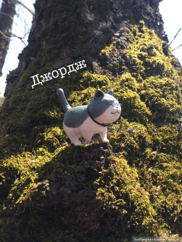 Кошачьи монпансье — Куклы с Алиэкспресс (Aliexpress): Китайские шарнирные