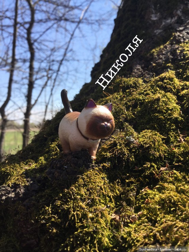 Кошачьи монпансье — Куклы с Алиэкспресс (Aliexpress): Китайские шарнирные