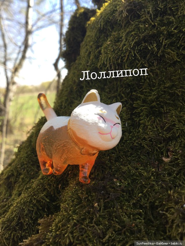 Кошачьи монпансье — Куклы с Алиэкспресс (Aliexpress): Китайские шарнирные
