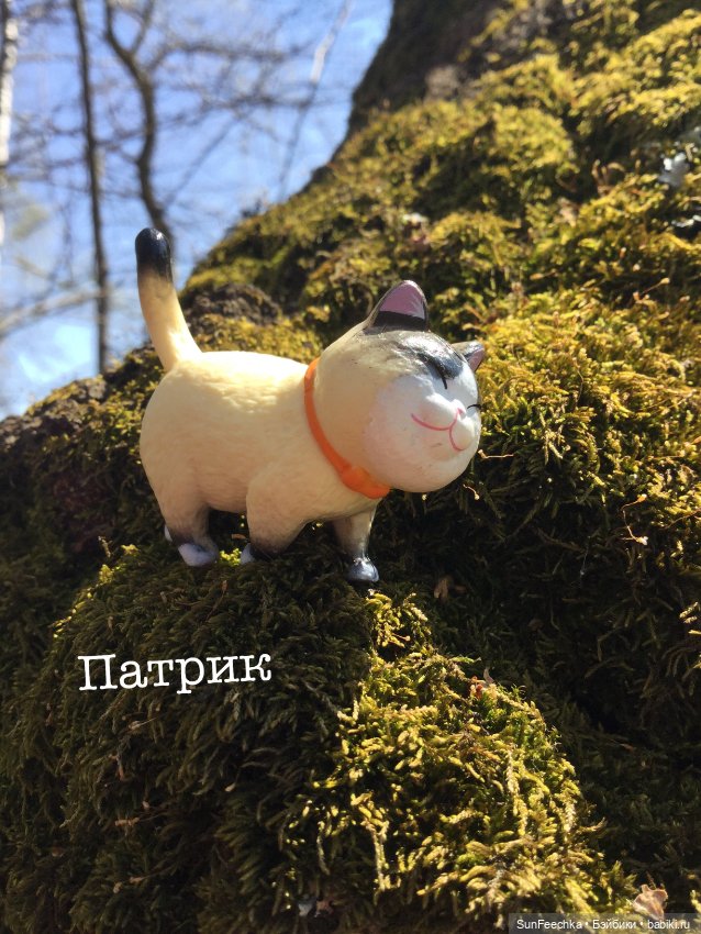 Кошачьи монпансье — Куклы с Алиэкспресс (Aliexpress): Китайские шарнирные