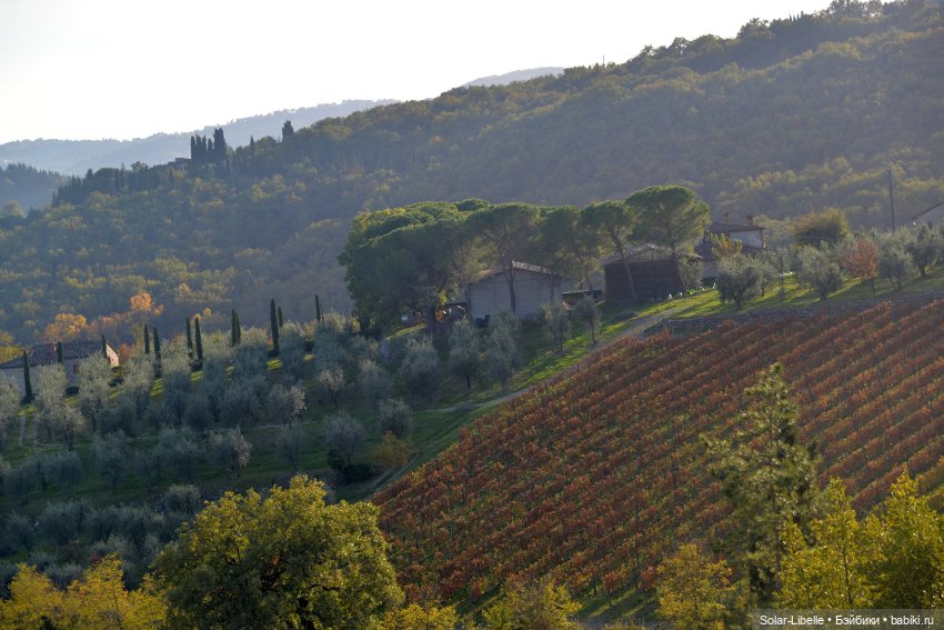 Моя прекрасная Италия. Осенняя Тоскана. Часть Четвертая