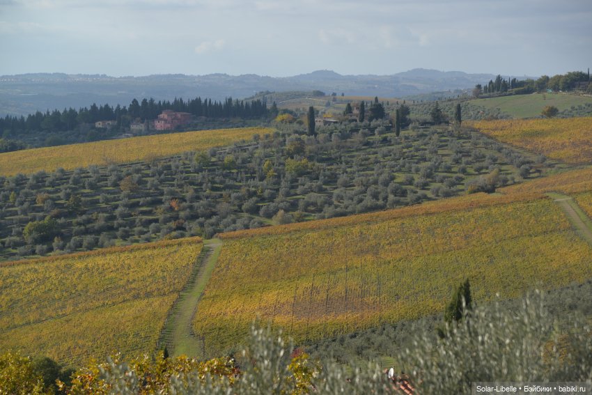 Моя прекрасная Италия. Осенняя Тоскана. Часть Четвертая