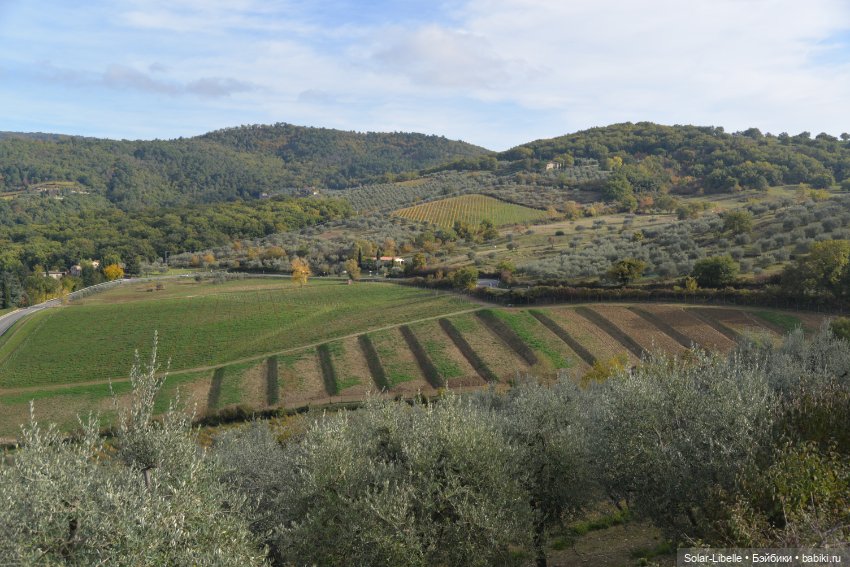Моя прекрасная Италия. Осенняя Тоскана. Часть Четвертая (фото 9)