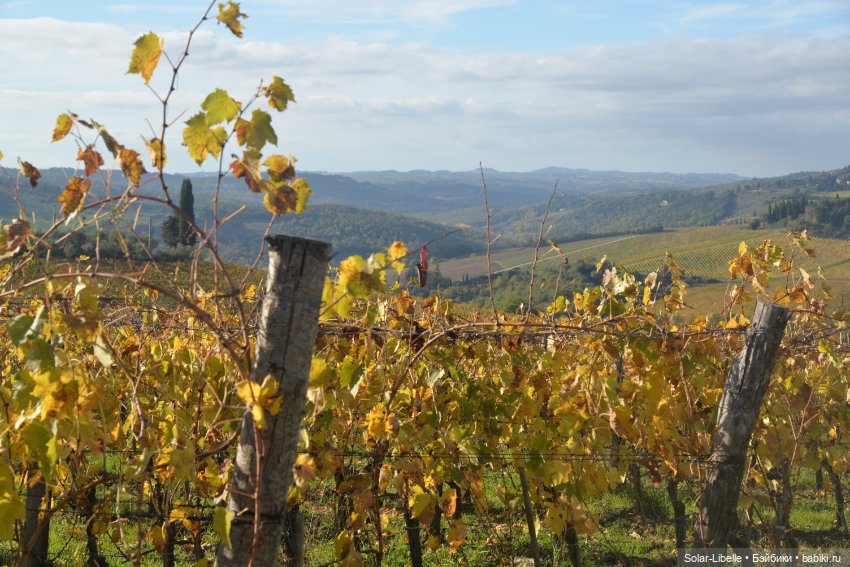 Моя прекрасная Италия. Осенняя Тоскана. Часть Четвертая