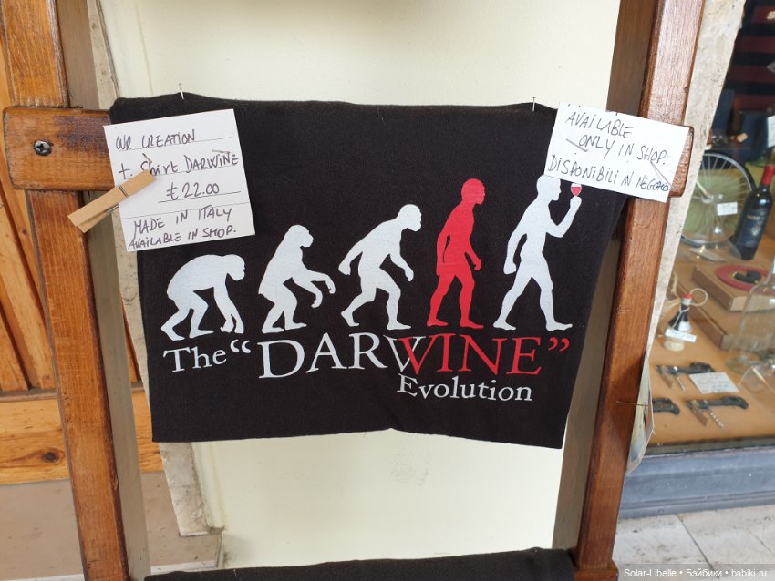 Моя прекрасная Италия. Осенняя Тоскана. Часть Четвертая (фото 5)