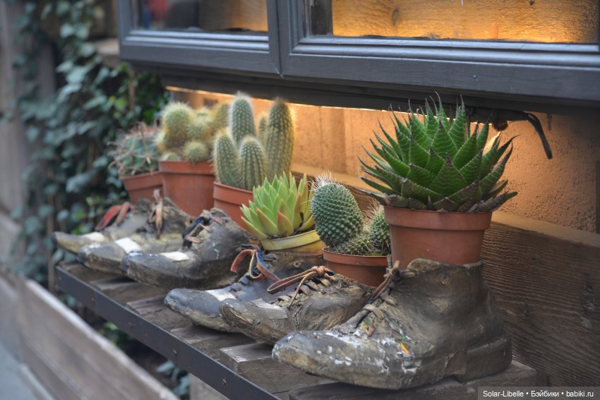 Моя прекрасная Италия. Осенняя Тоскана. Часть Четвертая