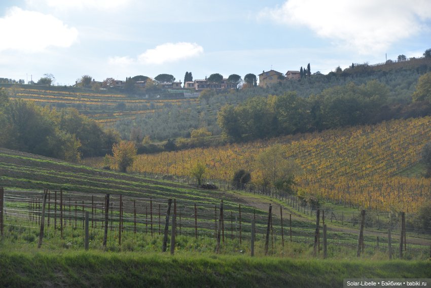 Моя прекрасная Италия. Осенняя Тоскана. Часть Четвертая (фото 8)