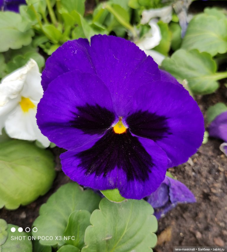 Лизонька (ВДНХ) Пасха — Куклы Baboliy (Баболи