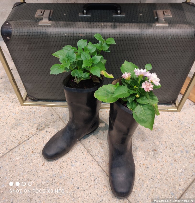 ВДНХ - (выставка) продолжение