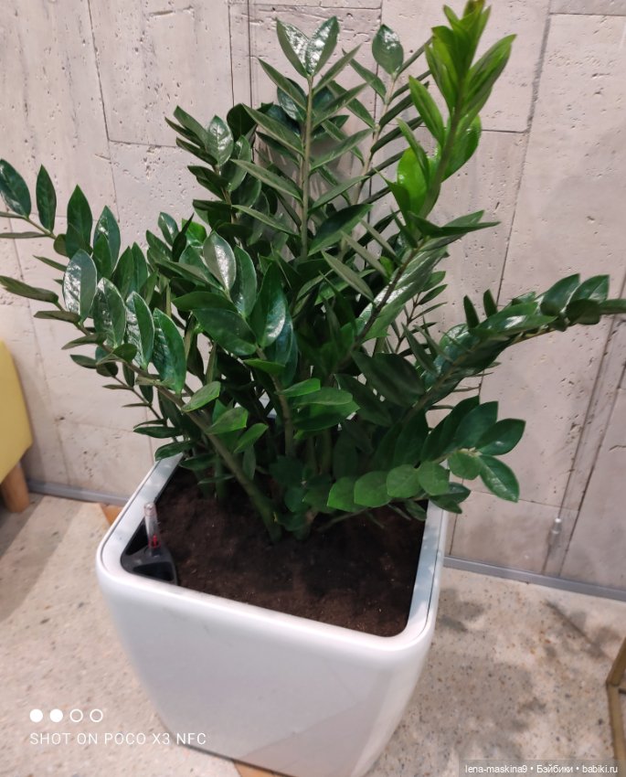 ВДНХ - (выставка) продолжение