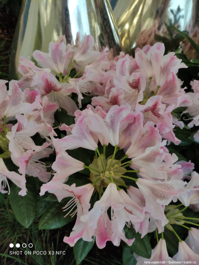 ВДНХ - (выставка) продолжение