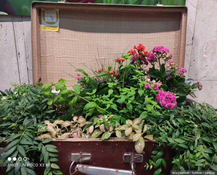 ВДНХ - (выставка) продолжение