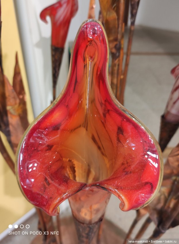 ВДНХ - (выставка) продолжение (фото 5)