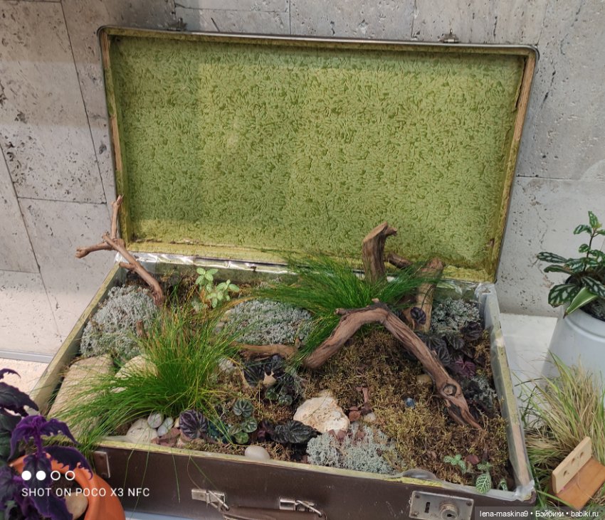 ВДНХ - (выставка) продолжение