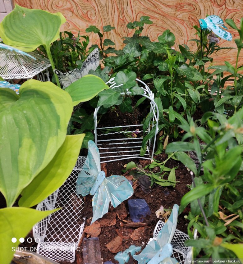 ВДНХ - (выставка) продолжение