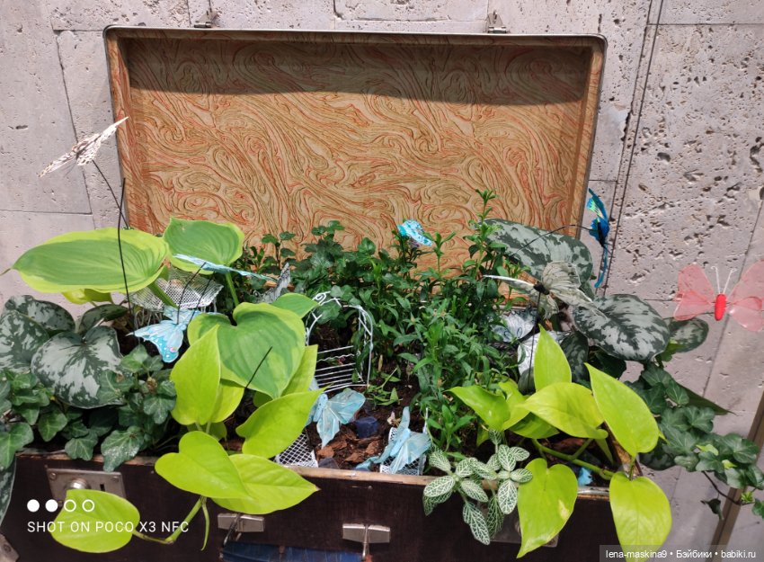 ВДНХ - (выставка) продолжение