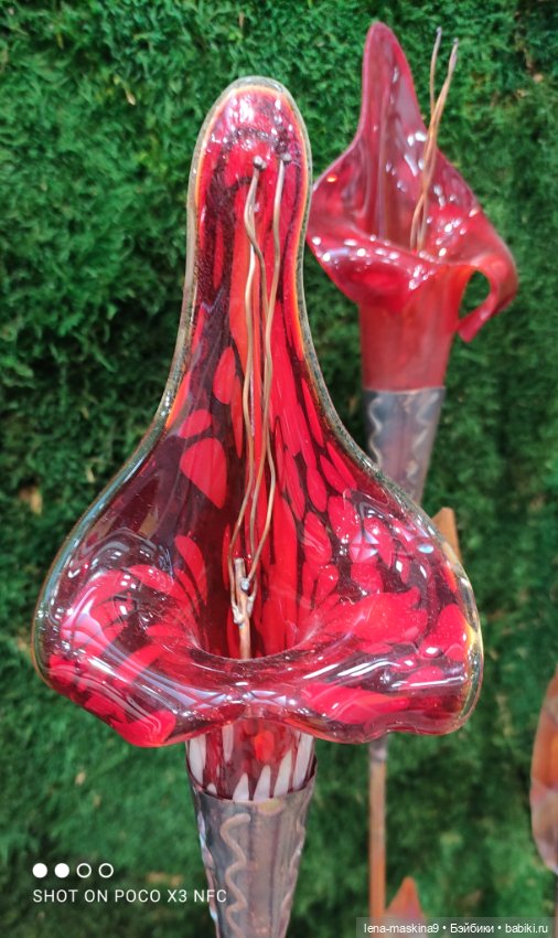 ВДНХ - (выставка) продолжение (фото 9)