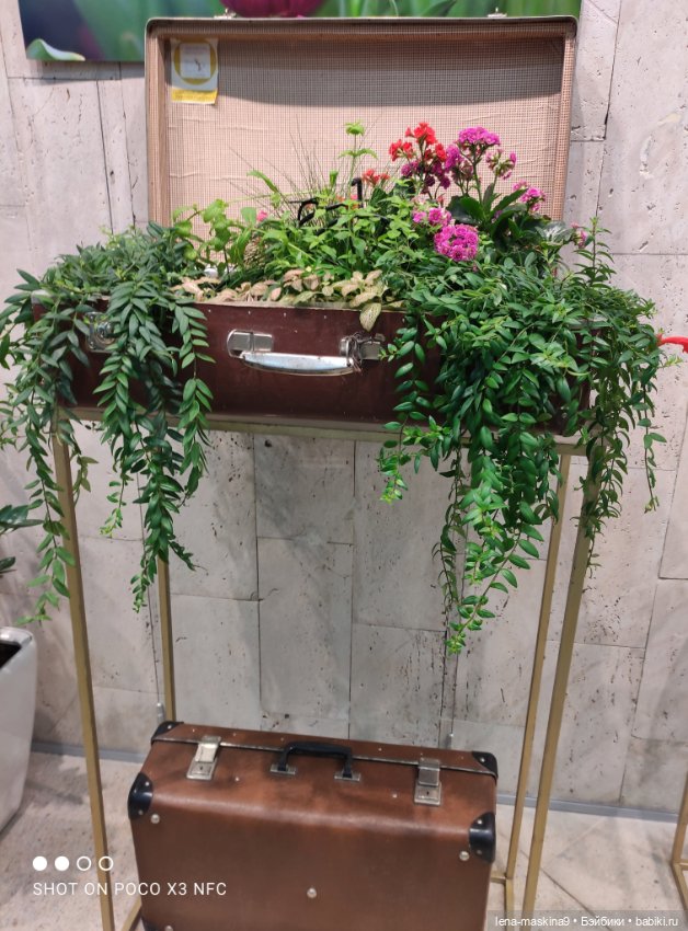 ВДНХ - (выставка) продолжение