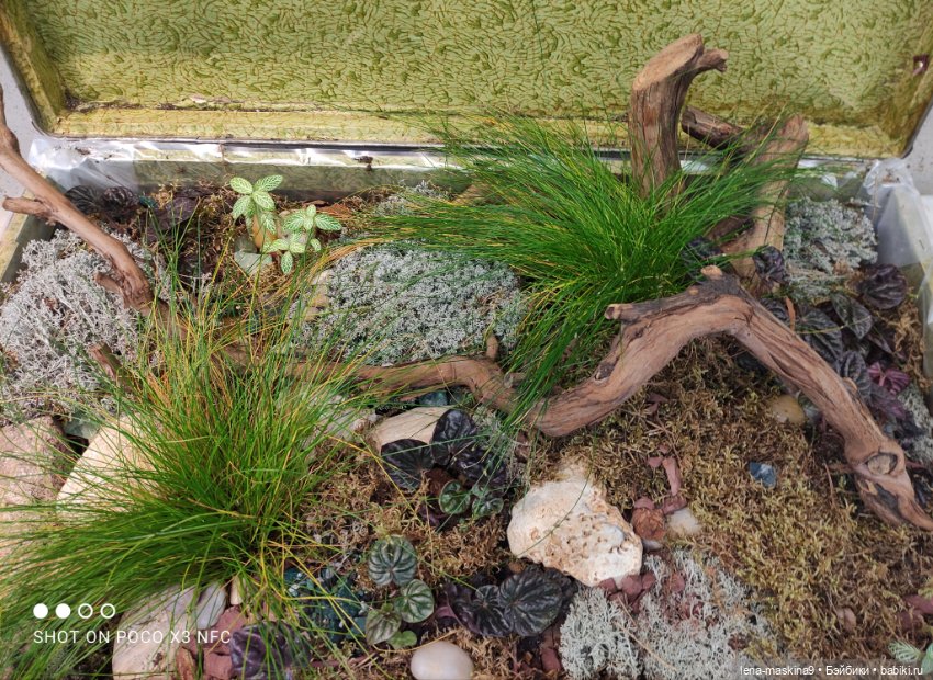 ВДНХ - (выставка) продолжение