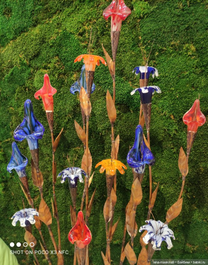 ВДНХ - (выставка) продолжение (фото 7)