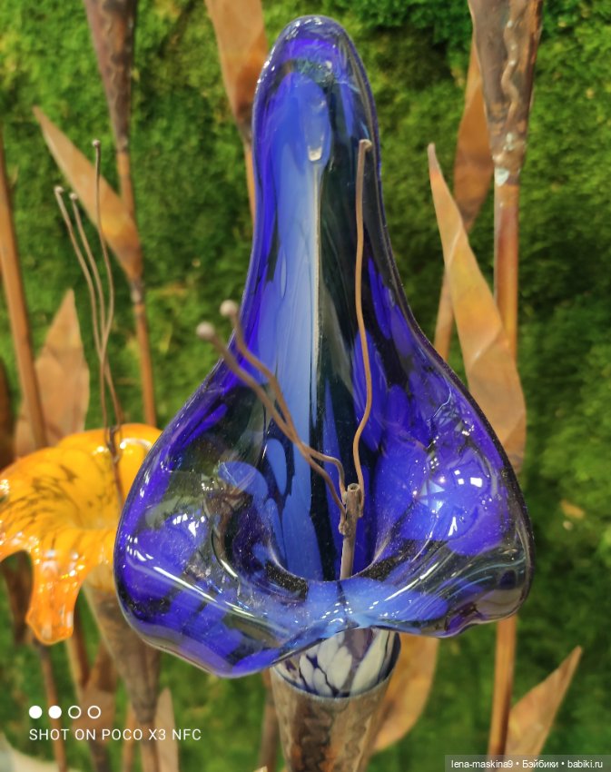 ВДНХ - (выставка) продолжение (фото 8)