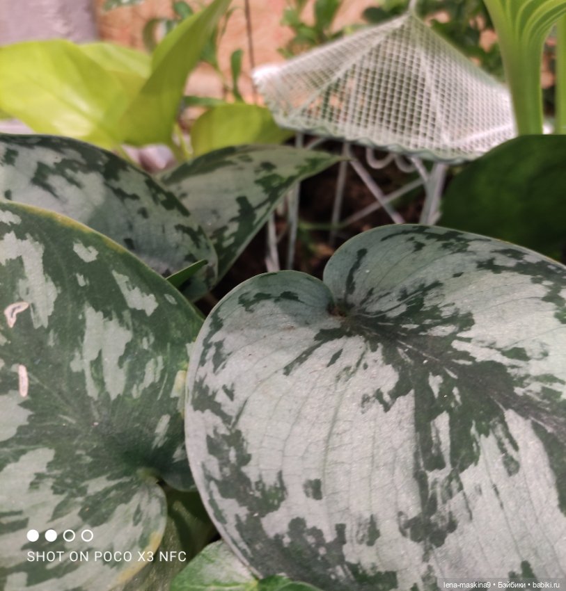 ВДНХ - (выставка) продолжение