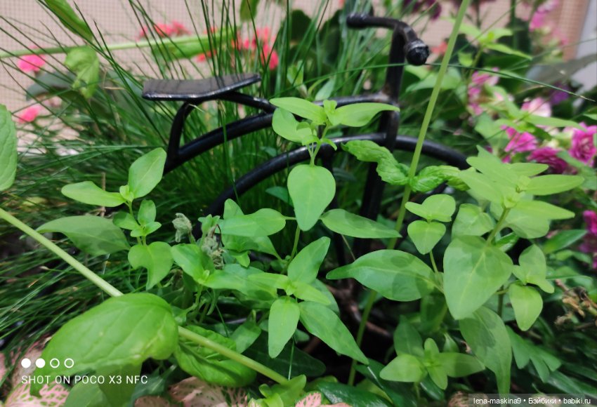 ВДНХ - (выставка) продолжение