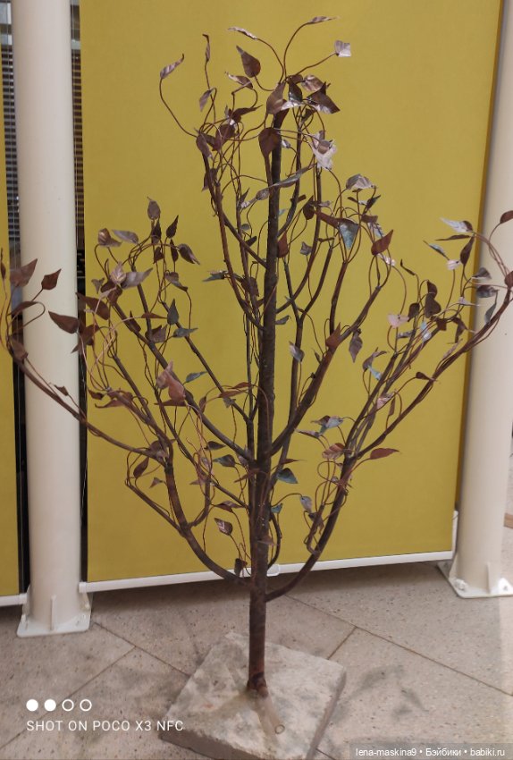 Лизонька (ВДНХ) - выставки