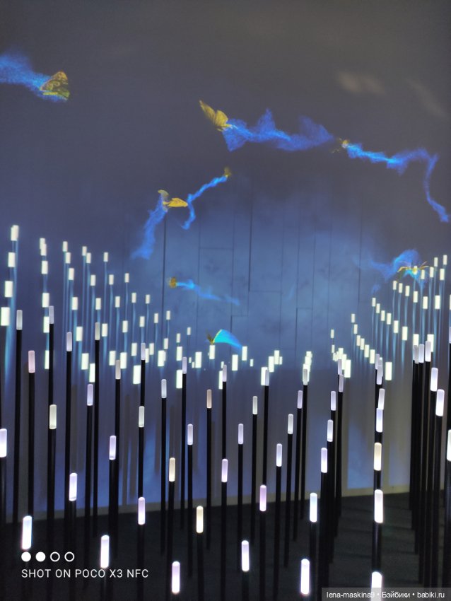 Лизонька (ВДНХ) - выставки (фото 5)