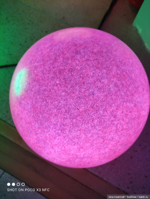 Лизонька (ВДНХ) - выставки (фото 6)