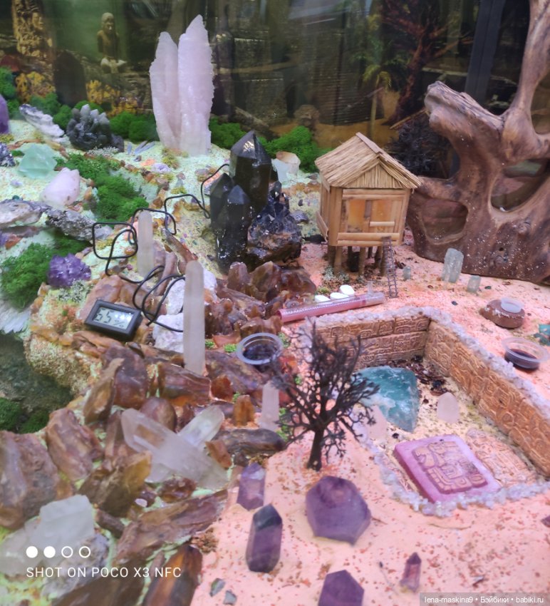 Лизонька (ВДНХ) - выставки