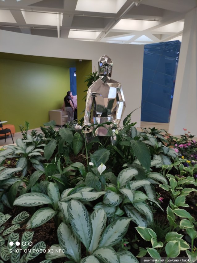 Лизонька (ВДНХ) - выставки