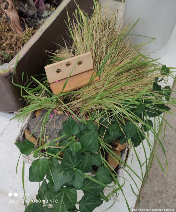 Лизонька (ВДНХ) - выставки