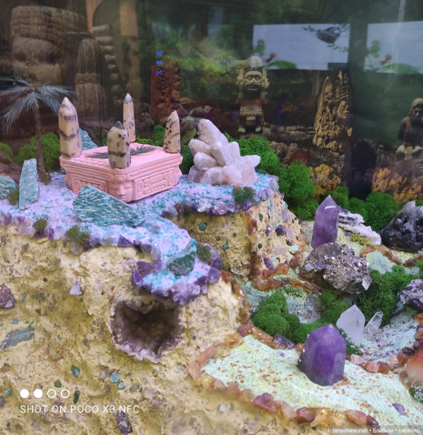 Лизонька (ВДНХ) - выставки